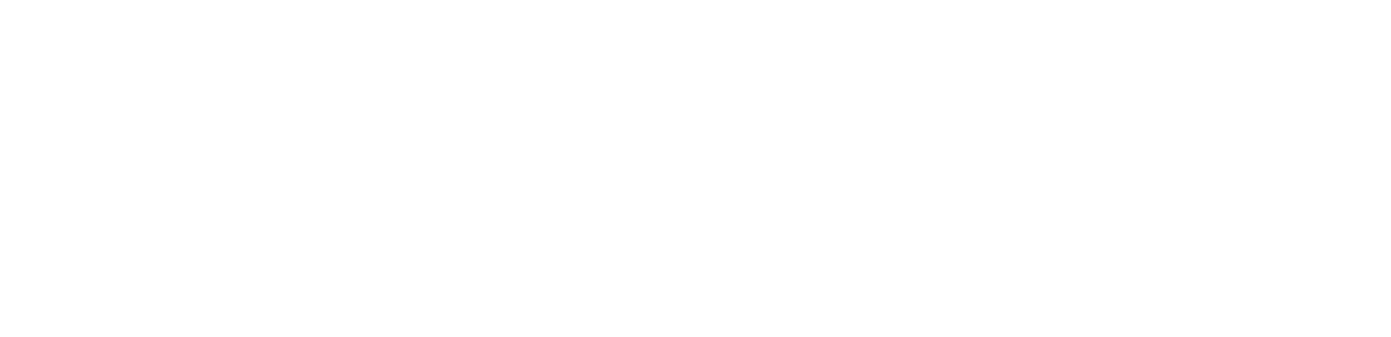 LSI Portsmouth Logo