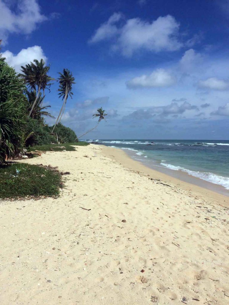 view_of_the_beach_outside_thei_house