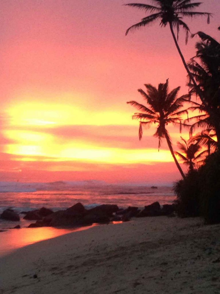 End_to_a_perfect_day